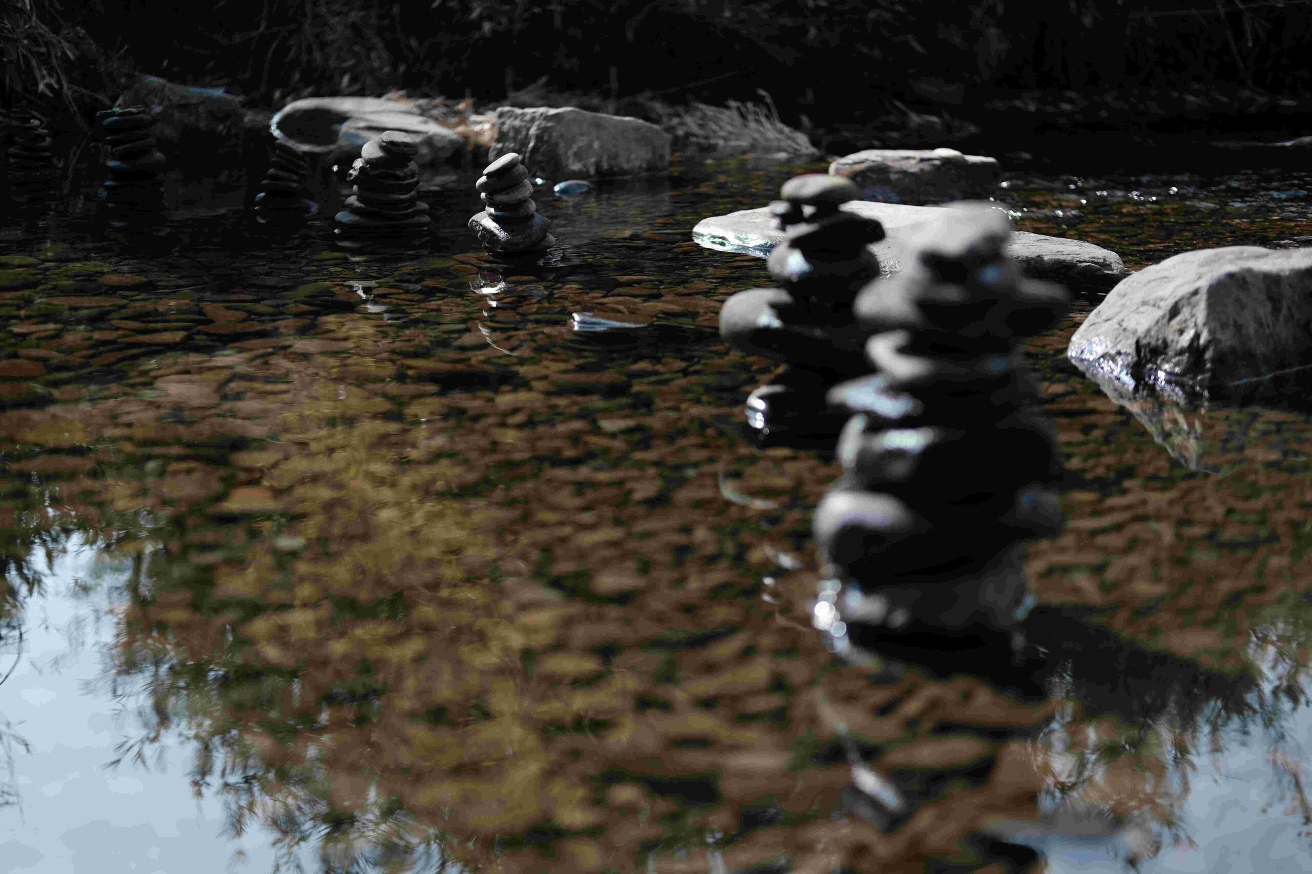 Dzukuo Valley Nagaland