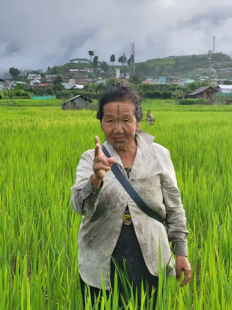 Ziro Valley A lady in the paddy field