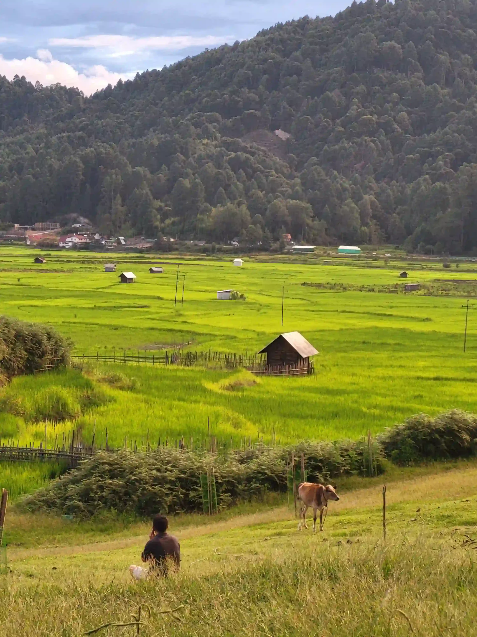 Monsoon & Meghalaya
